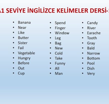 İngilizce A1 Seviyesinde Kullanılan Kesin Sıfat Sayısı ve Püf Noktaları [2026] - Kapak Görseli